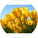 Anna P. profile picture